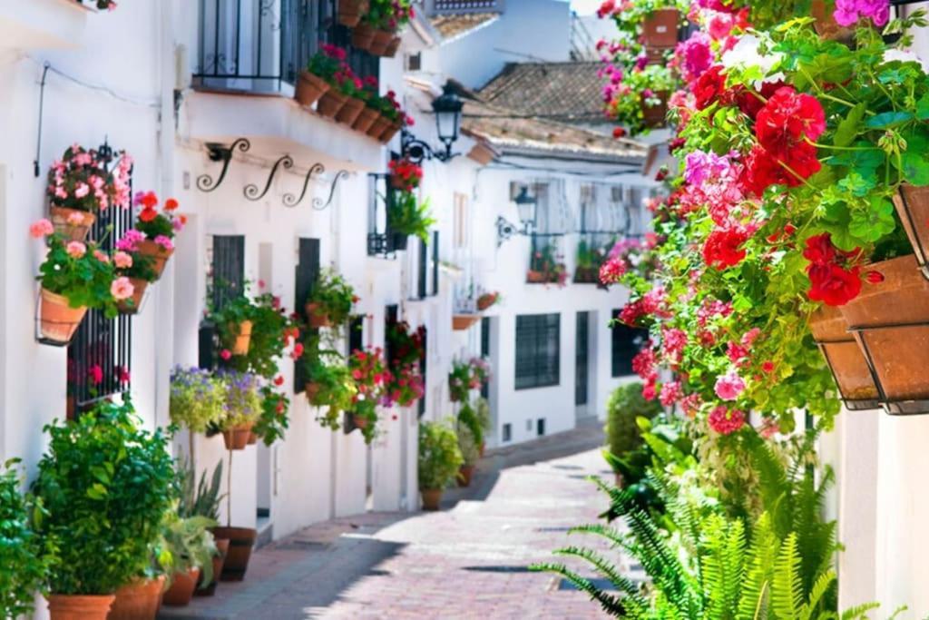 Studio Vista Costa Del Sol Benalmadena Exterior photo